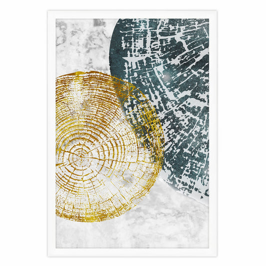 Ethan Taylor 'Tree Rings I' Framed Art Print