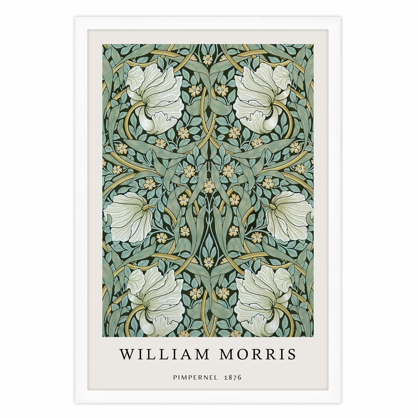 Ethan Taylor 'William Morris Pimpernel' Framed Art Print